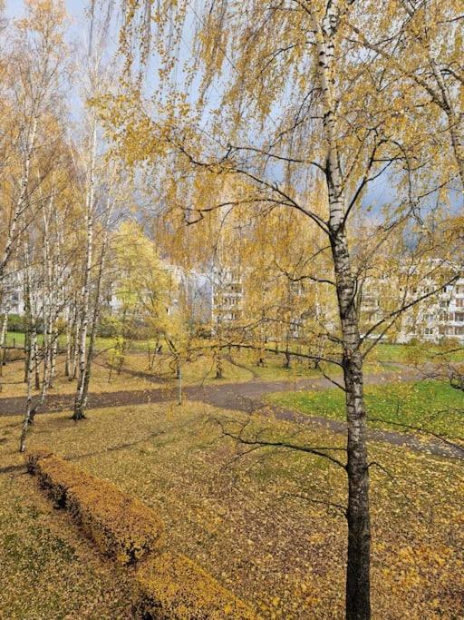 Ilguciema Apartment Ρίγα Εξωτερικό φωτογραφία